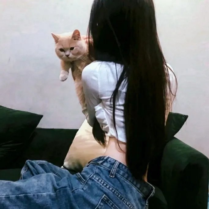 黑暗的教训